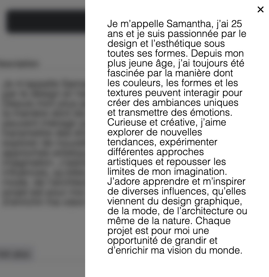 modale avec du texte de mon site cv